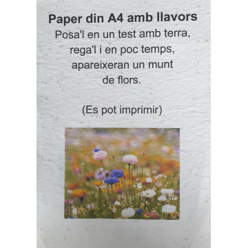 Papel A3 135 gr. 250 hojas impresora láser color  Color Copy Brillo