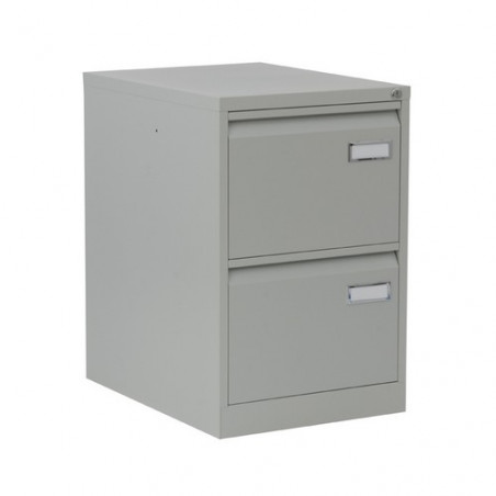 Archivador metálico 2 cajones 42x62,7x77cm gris Ro