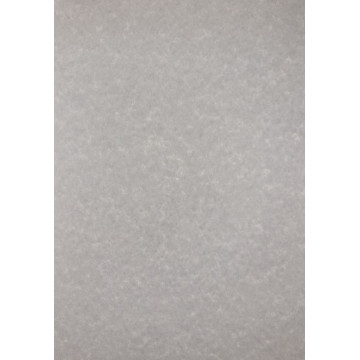 PAPER COLOR DIN-A4 (PERGAMINO GRIS) APLPCL1602 (100f)