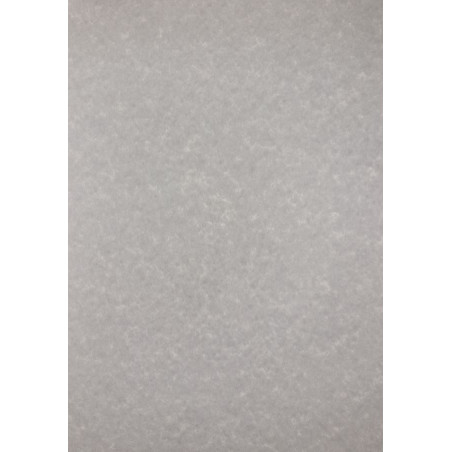 PAPER COLOR DIN-A4 (PERGAMINO GRIS) APLPCL1602 (100f)
