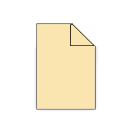 PAPER COLOR DIN-A4 ARENA  (50u)