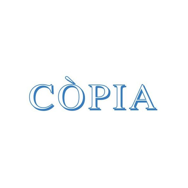 SEGELL TRODAT F CAT. "COPIA"(4911) SEGELL TRODAT F CAT. "COPIA"(4911)