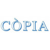 SEGELL TRODAT F  CAT. "COPIA"(4911)