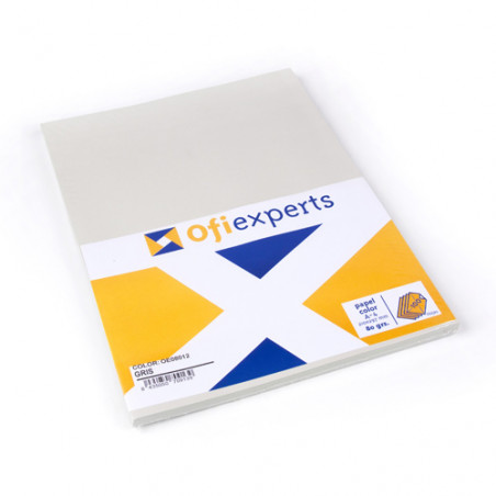 PAPER COLOR DIN-A4 GRIS  (50u)