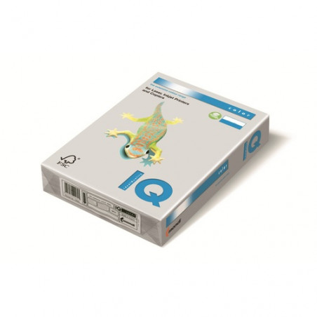 CARTOLINA DIN-A4 GRIS (100u)