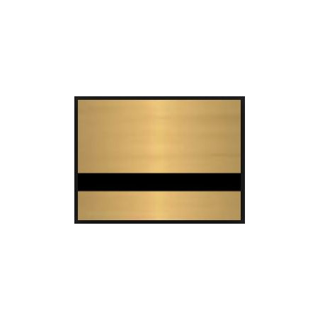 PLACA F LASER MAX 1,6 mm (NEGRE/OR mate)