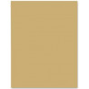 CARTULINA 180gr 500X650 ABELLANA