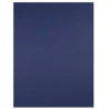 CARTULINA 180gr 500X650 BLAU FOSC INDIGO