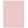 CARTULINA 180gr 500X650 ROSA PALID