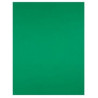 CARTULINA 180gr 500X650 VERD MITG / NADAL