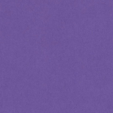 CARTULINA 500x650 180g LILA / VIOLETA / FUCSIA (125u.)