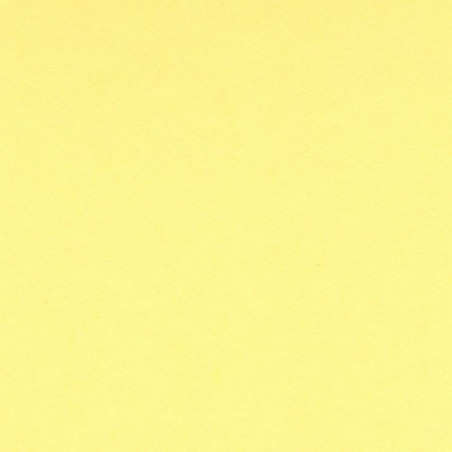 Cartulina 50x65 cm 185 gr. amarillo limón Iris