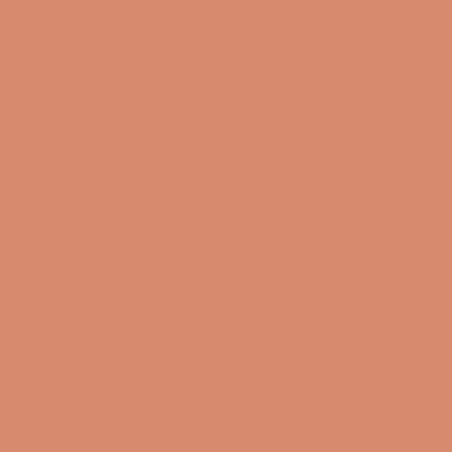 Cartulina 50x65 cm 185 gr. coral Iris