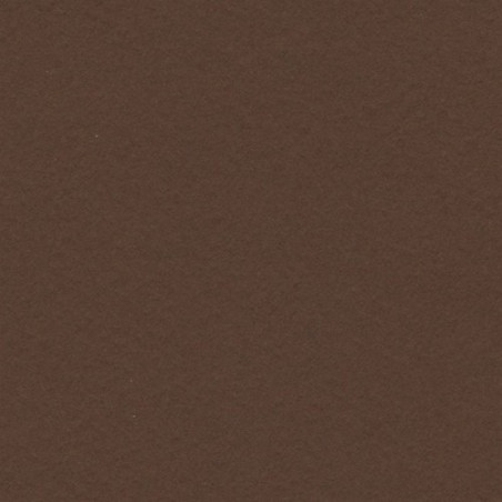 Cartulina 50x65 cm 185 gr. chocolate Iris