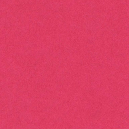 Cartulina 50x65 cm 185 gr. fucsia Iris