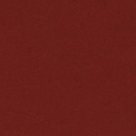 Cartulina 50x65 cm 185 gr. grana Iris