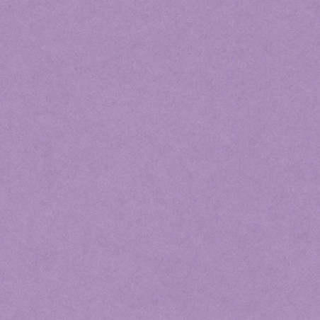 Cartulina 50x65 cm 185 gr. lila Iris