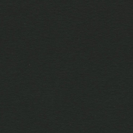 Cartulina 50x65 cm 185 gr. negro Iris