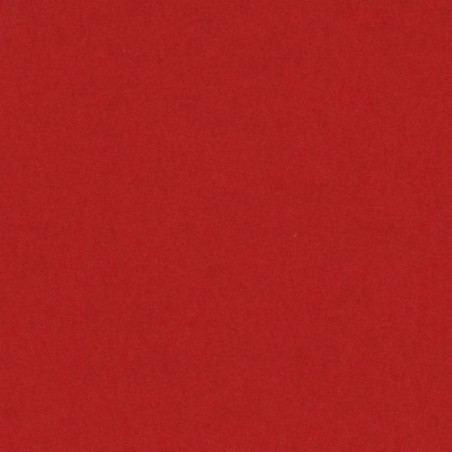 Cartulina 50x65 cm 185 gr. rojo Iris