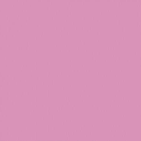 Cartulina 50x65 cm 185 gr. rosa chicle Iris