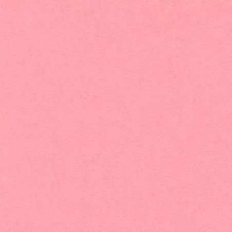 Cartulina 50x65 cm 185 gr. rosa Iris