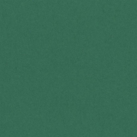 Cartulina 50x65 cm 185 gr. verde abeto Iris