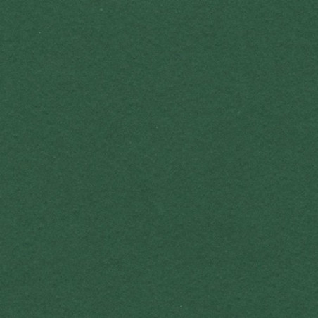 Cartulina 50x65 cm 185 gr. verde amazonas Iris