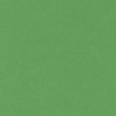 Cartulina 50x65 cm 185 gr. verde billar Iris
