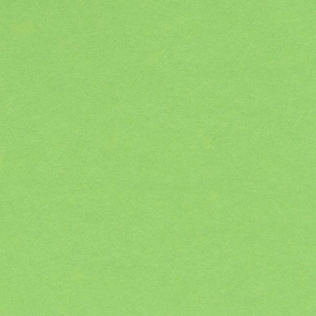 Cartulina 50x65 cm 185 gr. verde manzana Iris