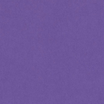 Cartulina 50x65 cm 185 gr. violeta Iris