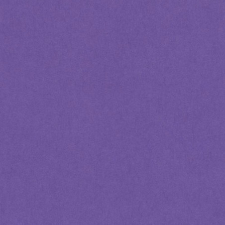 Cartulina 50x65 cm 185 gr. violeta Iris
