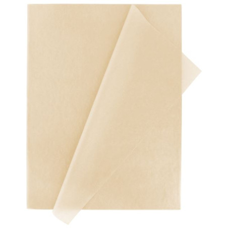 PAPER SEDA 500x750 MARFIL