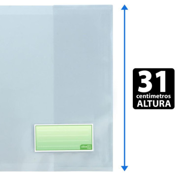 FORRO LLIBRES 31 CM (10u)